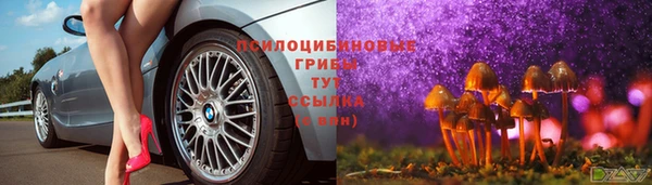 винт Нея
