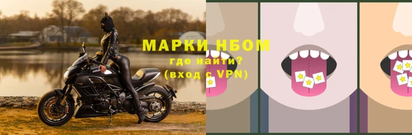 винт Нея