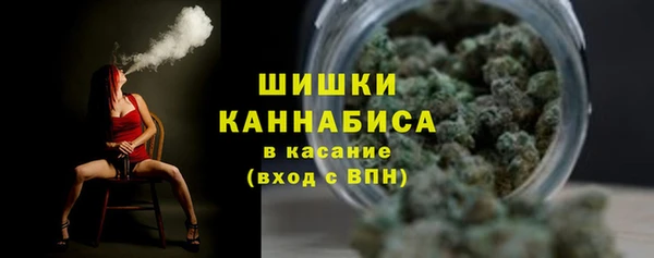 винт Нея
