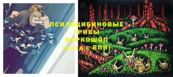 винт Нея