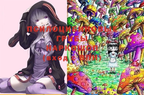 винт Нея