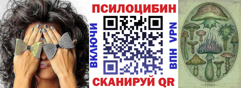 цены наркотик  Петровск  Псилоцибиновые грибы ЛСД 