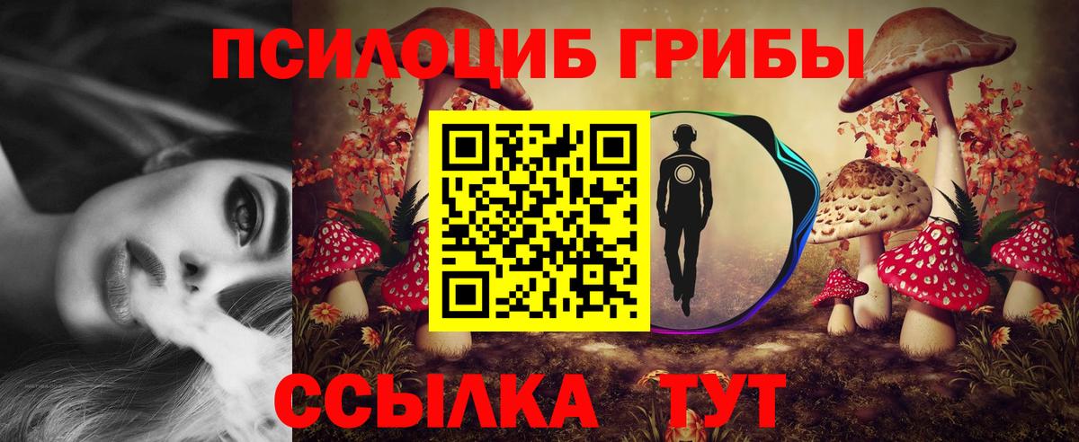 Галлюциногенные грибы Cubensis Петровск