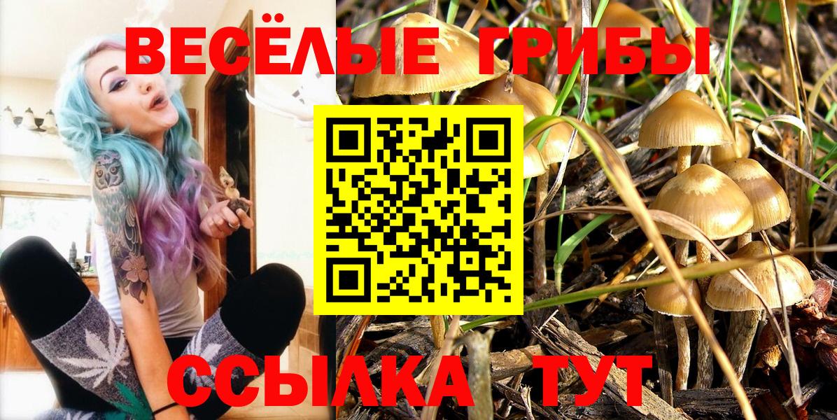 как найти закладки  Псилоцибиновые грибы Magic Shrooms  Петровск  Вход с VPN  Галлюциногенные грибы Psilocybine cubensis 
